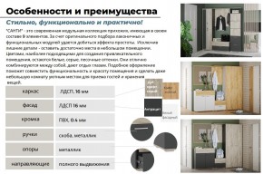 Прихожая Санти Белый/Дуб Крафт Золотой в Златоусте - zlatoust.mebel74.com | фото 3