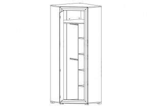 Шкаф угловой B136-SZFN1D Мальта сибирская лиственница в Златоусте - zlatoust.mebel74.com | фото 2