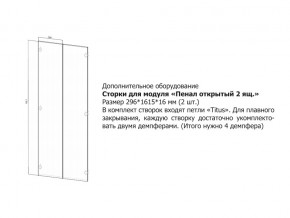 Створки для Пенал открытый в Златоусте - zlatoust.mebel74.com | фото